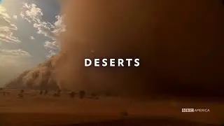 DESSERTS | Starving Lions hunting for PREY in the desserts | MUST WATCH!!!