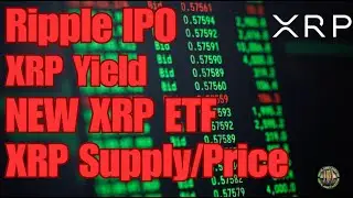 Потенциал IPO Ripple и криптоэксперт: XRP &laquo;монета правительства США&raquo;