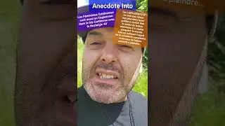 Collectif metoo balance ton porc fondation femme gay pride LGBTQIA+ LGBTQQIP2SAA 1/3