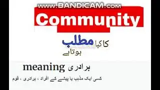 community meaning in urdu