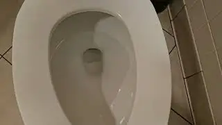 Cold Stone Unisex Restroom with New AS Cadet Pressure Assist Toilet