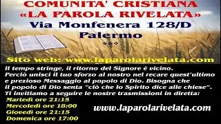 RACCOLATA CANTICI - SALVO CIAMPOLLARI