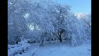 La Vendée sous la neige 6 janvier 2026