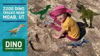 Hiking Moab Utah In Search of Utah Dinosaur Tracks
