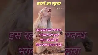 monkey mystery #shorts#youtubeshorts #mrbeast #memes #pewdiepie #dankmemes #meme #youtube #fortnite