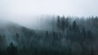 Map Making In Wonderdraft and Dungeondraft - Let's Get Creative!