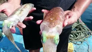 Fishing & Life of Fishermen in Andaman Islands