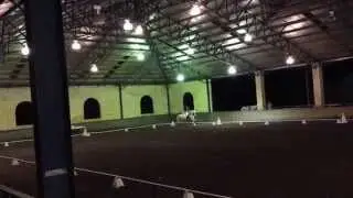 FEI Intermediate B Training - Dressage Pony