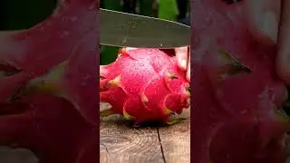 Dragon Fruit 🥶 smoothly to watch!#shorts #youtubeshorts #youtubeautomation