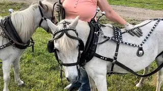 Cleaning harness