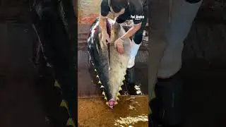 Insane bluefin tuna breakdown revealing otoro and akami #bluefintuna #otoro #akami #foodreels