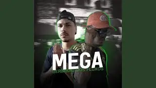 Mega berimbau dos fluxos - Status tik tok