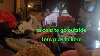 to cold to go outside               Let's play in here  