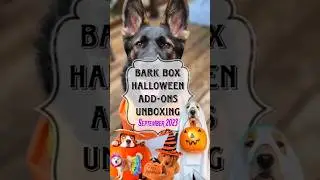 Bark Box Halloween Unboxing! 🎃 #shorts #barkbox #bark #unboxing #dog #gsd #dachshund #halloween