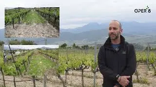 Demonstration event in Greek vineyards - Alternative weed control methods