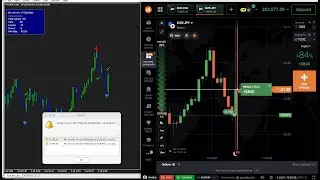MT4 99.9% Accuracy Binary Option Indicator  | Live IQOPTION Live Trading | Mix Arrows V5