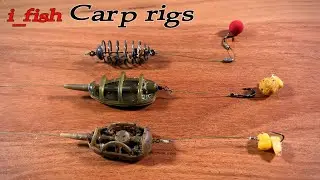 i_fish Carp rigs