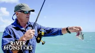 Barracuda: The Fish With Teeth Sharper Than A Knife | River Monsters