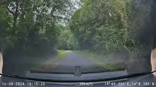 Driving Amidst Dense Forest