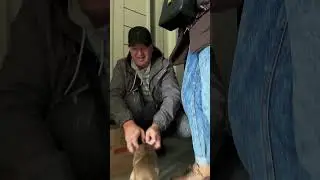 Сусіди 🥰 НЕ БАЧИЛИСЬ 2 ГОДИНИ 😅