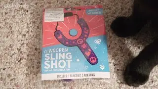 One Of The Cats LOVES This Wooden Slingshot From The Dollar Tree!