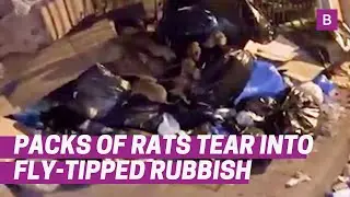 Disgust as packs of rats tear into fly-tipped rubbish in Lozells