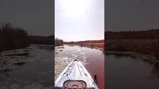 Kayak Tour in Neajlov Delta - Unique Nature Exploration Just One Hour from Bucharest