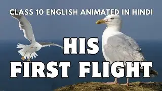 His First Flight Class 10 English Animated in Hindi Summary | Fable Fact