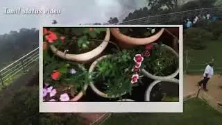 Natural status video Snow status.  #TAMIL STATUS VIDEO#