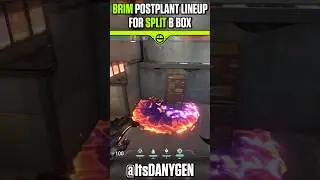 Brim Post-Plant Molly Lineup for B Box on Split
