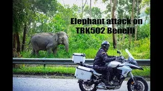 Malaysia Motorcycle Adventures on Benelli Tk 502 motorcycles