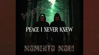Peace I Never Knew