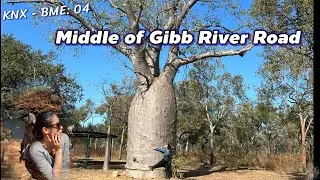 KNX-BME 04; Middle of Gibb river road, Mt Barnett station, Manning & Bell Gorge, Bandilngan {MP201}