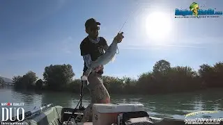 Duo Tide Minnow Slim 120 Flyer