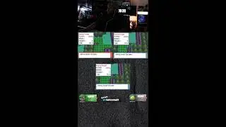 Looking for Murkrow in Eterna Forest! (Pok&eacute;mon Diamond)