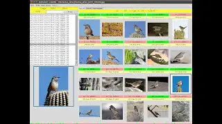 Image Retrieval GUI