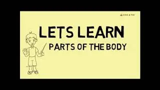 Kids Learning Compilation | Parts of the  Body | Alphabets | Numbers | Days in week | Kidsnfunflix