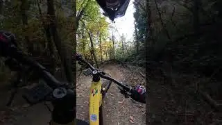 Vertical - BOMBA Loiano - 8 novembre 2025
