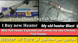 Complete guidance about fish heater and its price in Pakistan