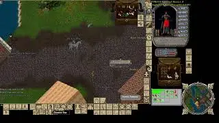 Ultima Online New Dream World  
