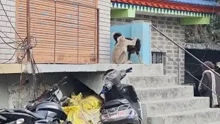 Ladai ho gayi 🤣 