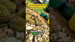 Unbelievable! Durian Shell Turns Into Animal Feed  Eco Hack You Must See‼️