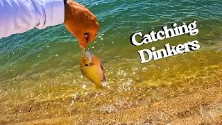 Kayaking a BIG Lake and Catching Small Fish(Dangerous Weather)