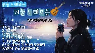 삶을 노래하는 겨울 노래모음-한편의 겨울 인생 시집 #겨울노래 #겨울아이야 #겨울모음곡 #삶을노래하다 #조용한위로  #겨울감성 #명상음악 #힐링음악 #도원별곡 #인생노래 #겨울