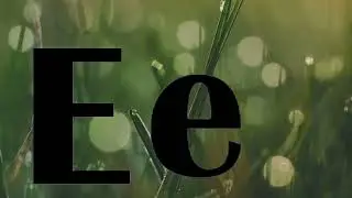 E s Day Out Episode 5: In The Woods / E s Heartbreaking 💔 Sadness Off