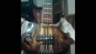 luthier  ...f.lisboa