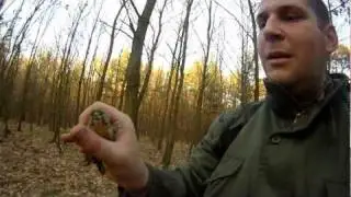 Bushcraft  - 48 hours in nature...