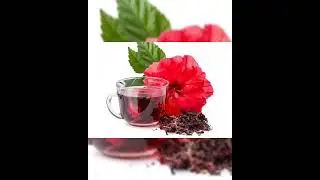 Get rid of High blood pressure without  drugs @ Onemillionhugs