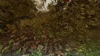 Water Crysis (Fuego96 Music Video Short in HD720p)