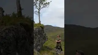 Restoring native woodland in the Highlands #woodlandmanagement #ancientforests #forestregeneration